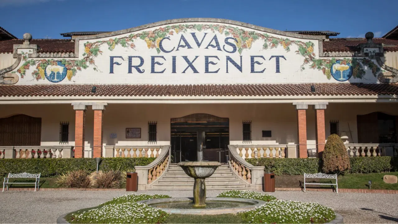 The Cava Countryside: A Day Trip Through Penedès Vineyards