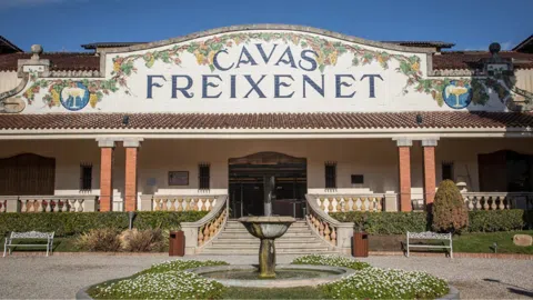 The Cava Countryside: A Day Trip Through Penedès Vineyards